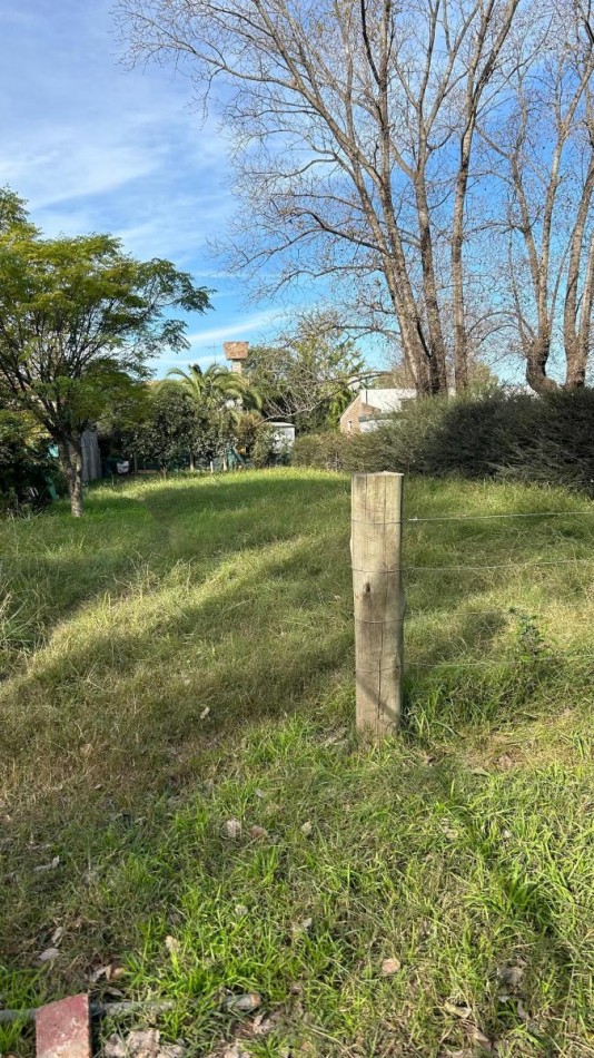 lote de terreno Los Pinos 2 -Alvarez-