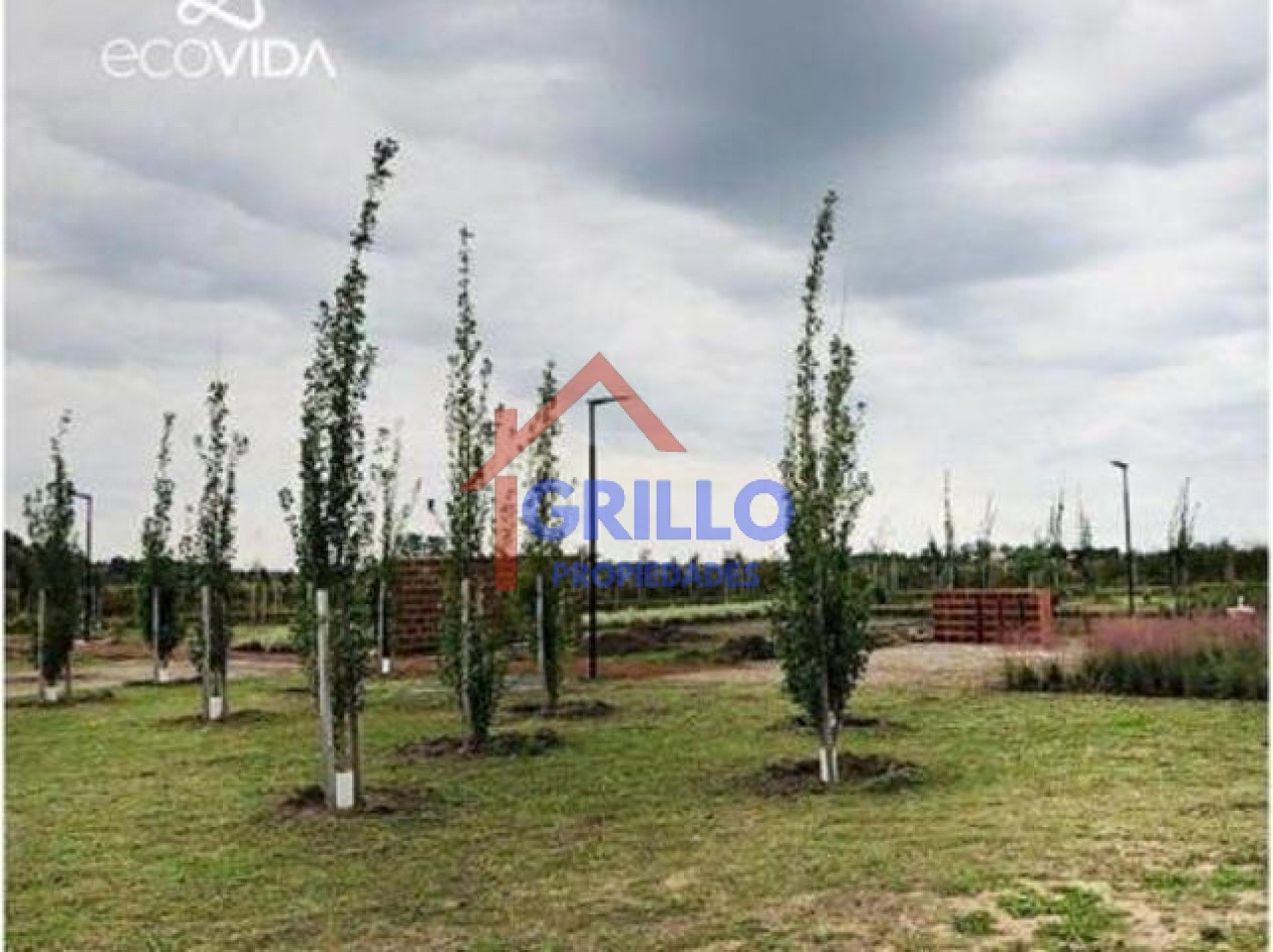 Lotes de terreno en EcoVida. Villa Amelia.